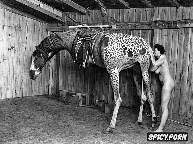 a resilient country women in heat at twat inserts a appaloosa stallion s long dick inside in her huge twat