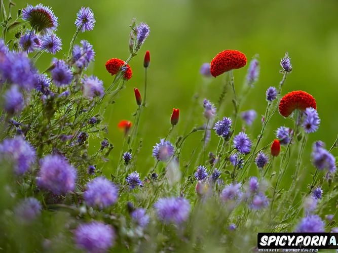 high resolution, fairytale, enchanted flower meadow, magic mushrooms